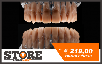 BUNDLE - lower & upper jaw model with root teeth in a clear acrylic base 
