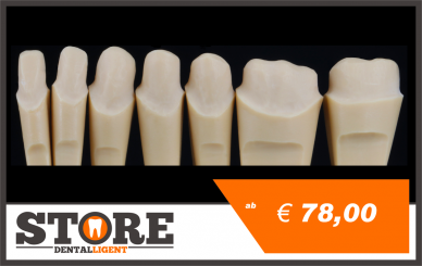 UK-Stümpfe im Set mit 14 Stk. für DEMO-MODELL S2 