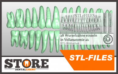 STL-FILES - 28 root teeth individually in full anatomy as STL library 