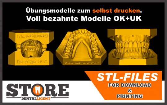 STL-FILES - PM1 Übungsmodelle zum selbst drucken.  Voll bezahnte Modelle OK+UK 